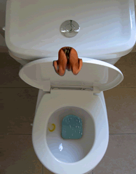 pics_animated-diving-into-toilet.gif