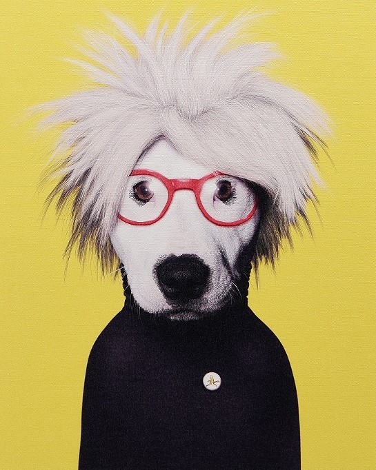 GIC-PR002_thePHAGshop_Dog-Portrait-Andy-Warhol-Artwork-Pets-Rock.jpg