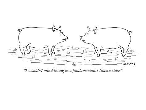 alex-gregory-i-wouldn-t-mind-living-in-a-fundamentalist-islamic-state-new-yorker-cartoon.jpg